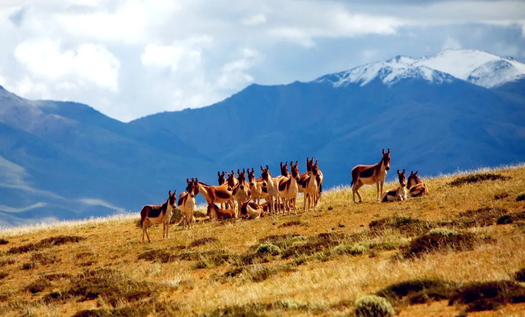 0bb07d44073fa751c4242c413d0ec40b-sz_346377