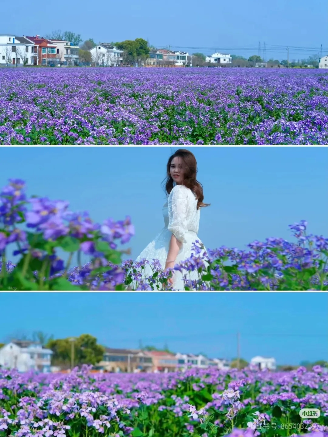 0c1d6358d202cdbd17ff40246312003e-sz_434318