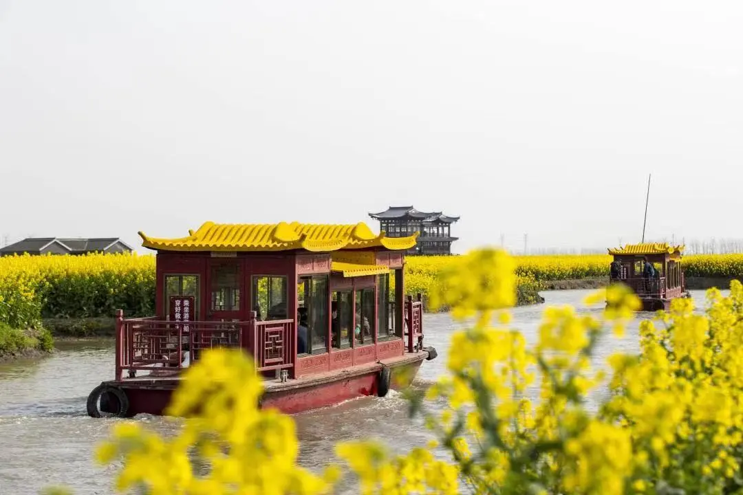 0c562956d5b3c350486fcb6f448f6223-sz_89296-2