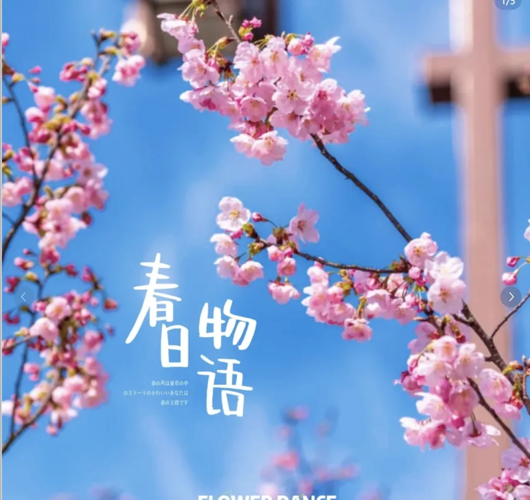 0ca3d12e3b15d25c6008db322bafef90-sz_747729