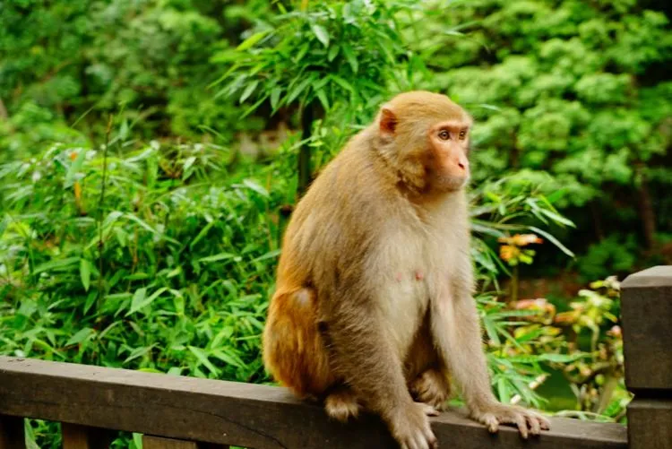 0ca5fc570886c1e66fbc1bee9a5299bf-sz_78366-1 0ca5fc570886c1e66fbc1bee9a5299bf-sz_78366-1