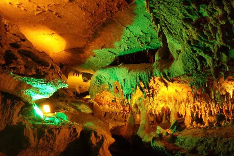 0cd2b363c831e94ec0326d42f8a69aa3-sz_80427