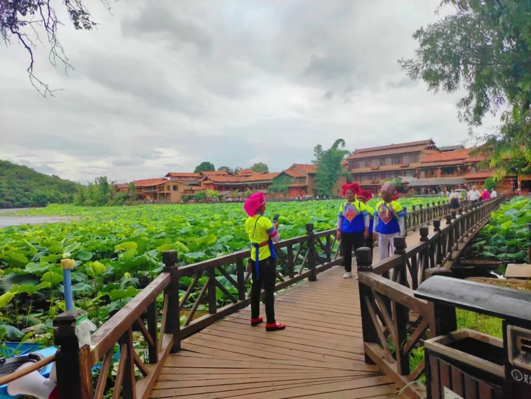 0cef77057dee4b75512cc02f39c0d351-sz_983188-1