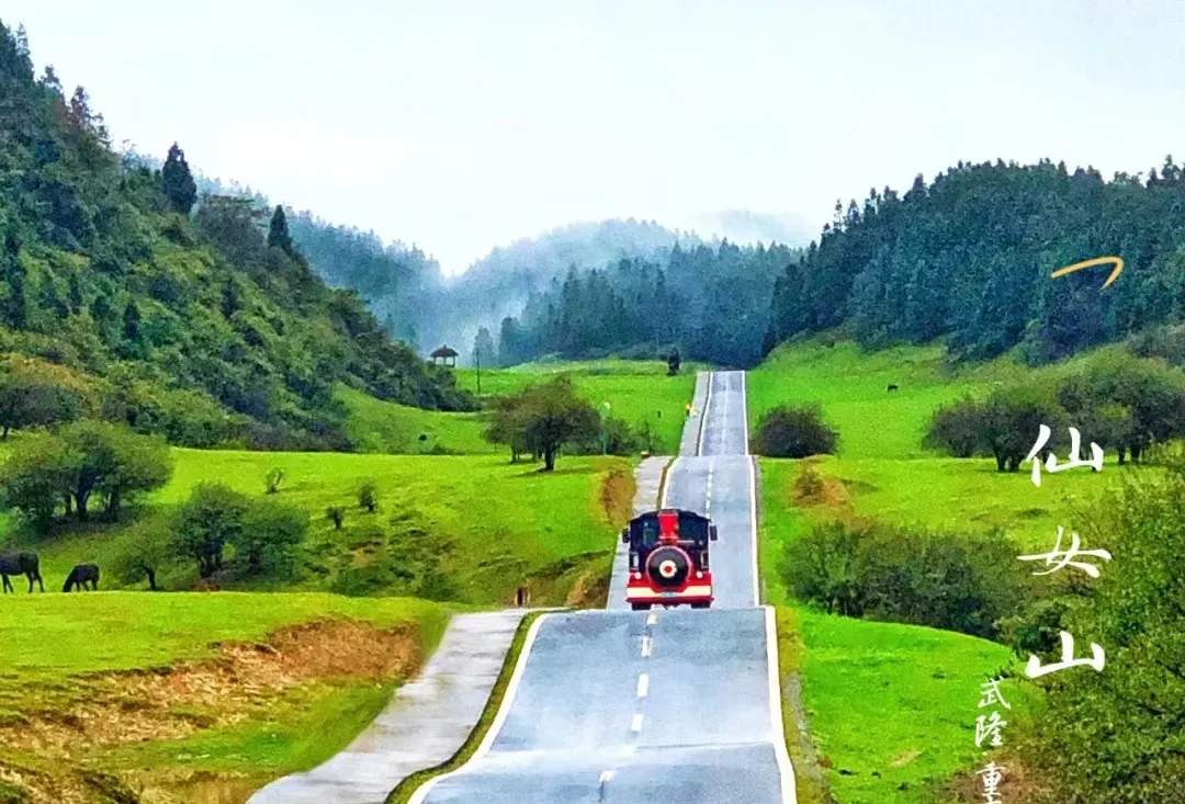 0d03d39f1c3e1f9027dd7882fc2d4462-sz_722260 0d03d39f1c3e1f9027dd7882fc2d4462-sz_722260