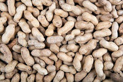 0d621bb6cf8aab3b75f4e9682de8f3fb-sz_37848