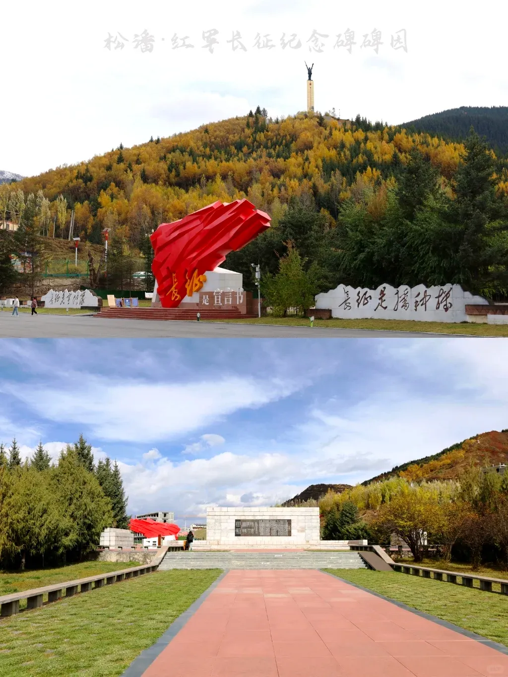 0d6ce90ce6be10fe4bc8c8bb0ac3e070-sz_2010856