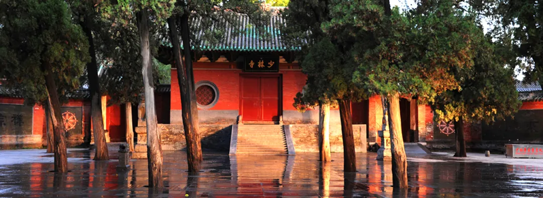 0d91eddb1b4ad090d3a217e106325ef7-sz_585273