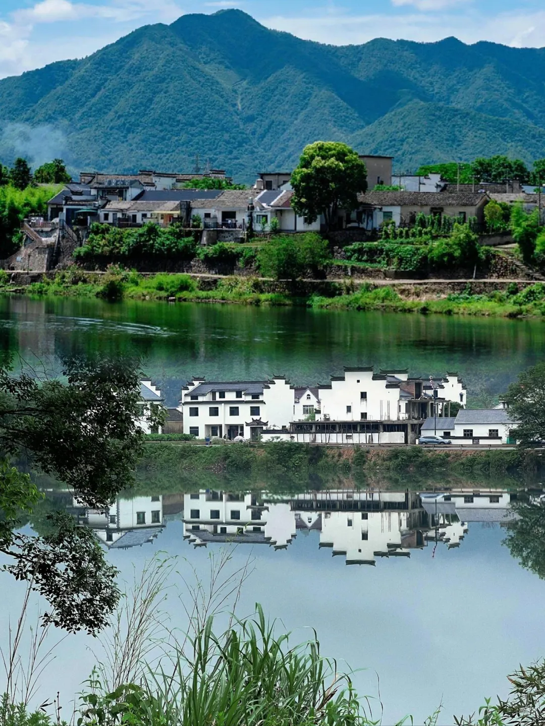 0db3bacc74d1be28b4135bad2c8376f5-sz_1048045