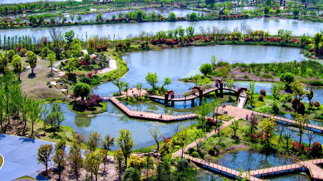 0e5322ceedace9e28ccb9dfe2bc910ab-sz_1110863