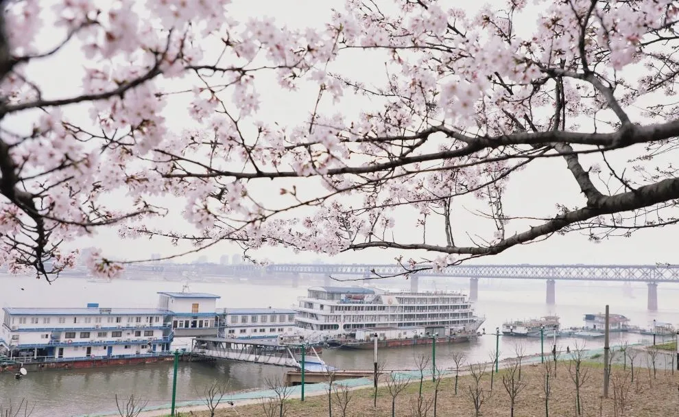 0ebc2c233fbe572d1261142762552e37-sz_153718