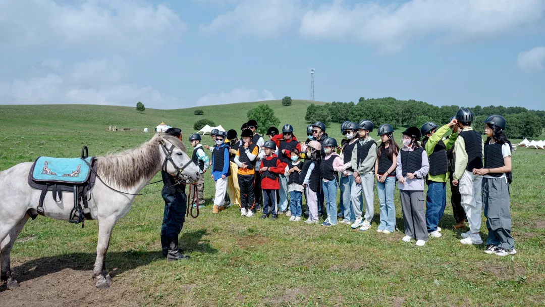 0ec2c58787ee03536bbd915da3ed4590-sz_7974904