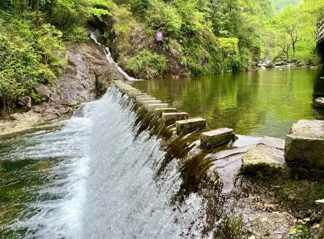 0f6ee8de94b84061840abd6fac0c63ab-sz_608634