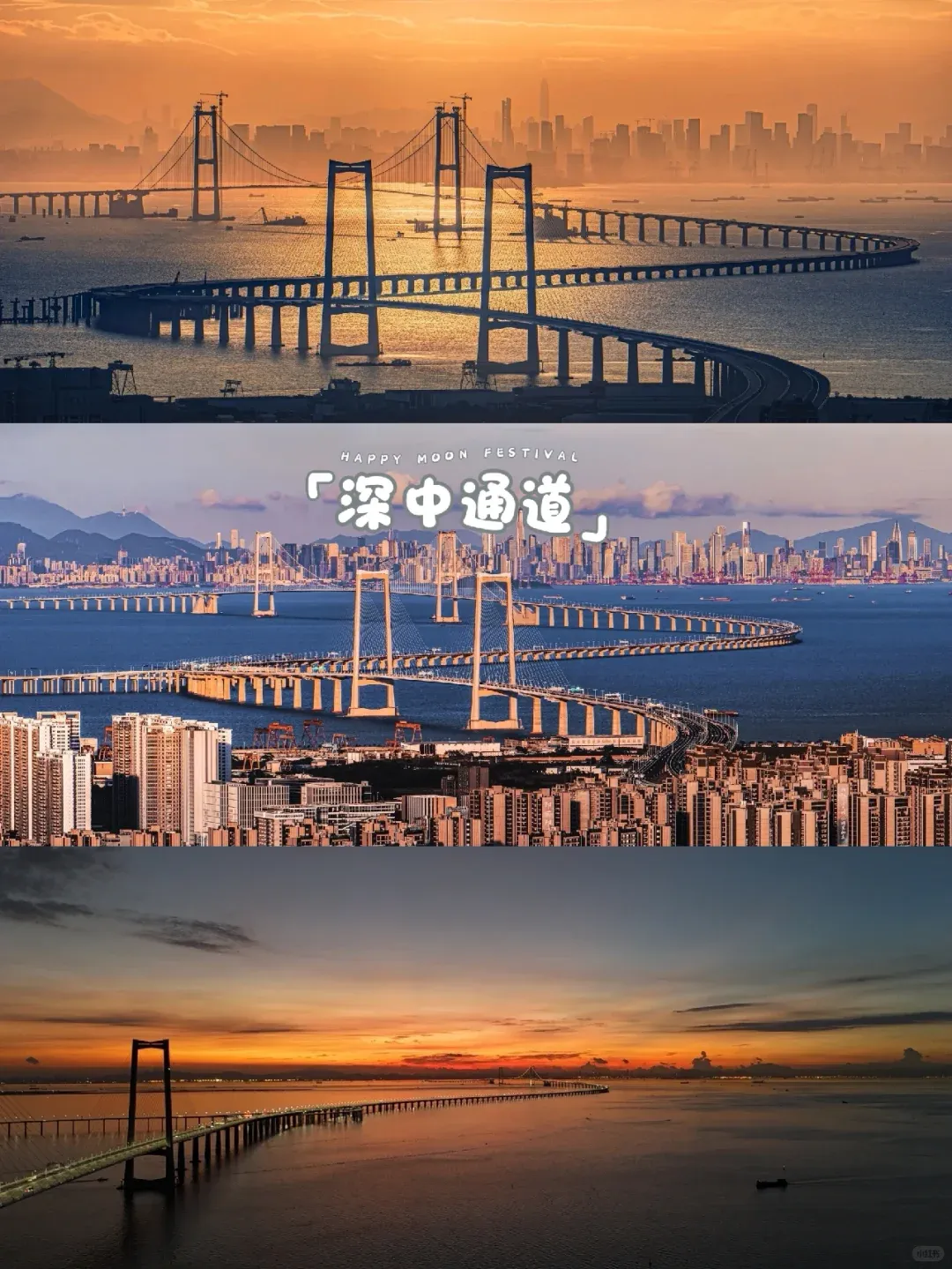 0f729f081d9a44aa93a88813bbce0270-sz_2461345