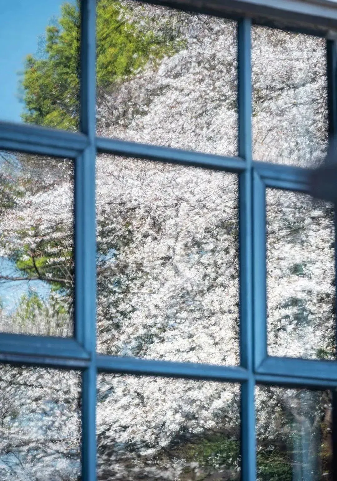 0f927da4959731d0c8028c62db29af28-sz_423903