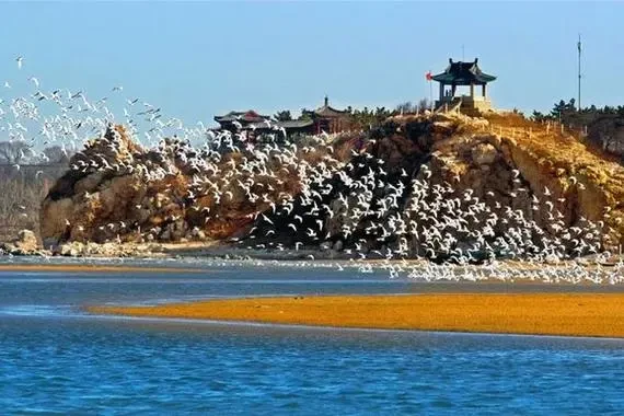 0f987585f4de05af0ec21b4931c3b950-sz_50445