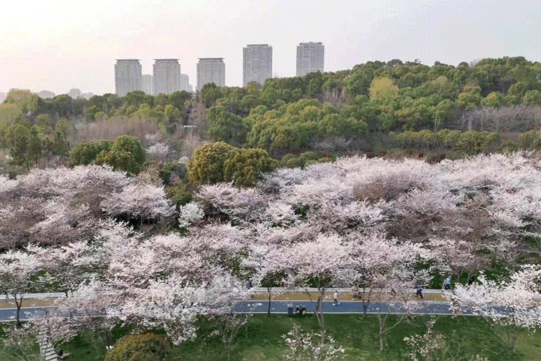 0fc709aea797b7b5e5565b20637e74b1-sz_2124899