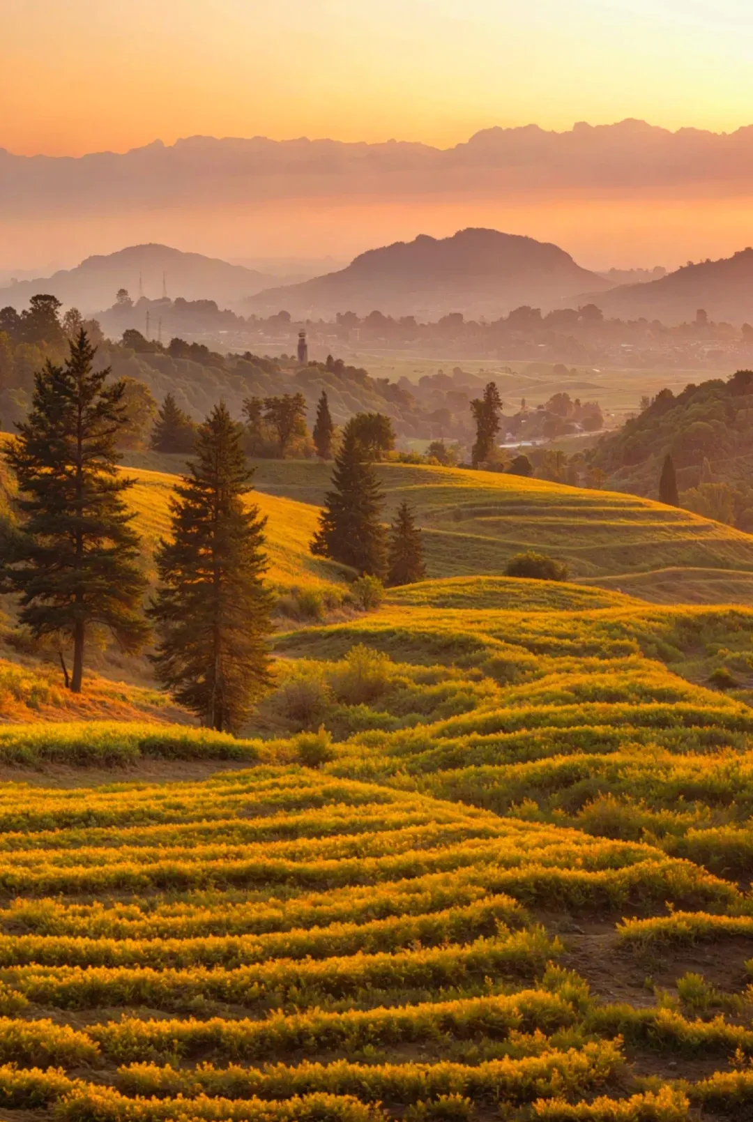 1095d74c16efbb50fa762dfd4e801c16-sz_2636816 1095d74c16efbb50fa762dfd4e801c16-sz_2636816