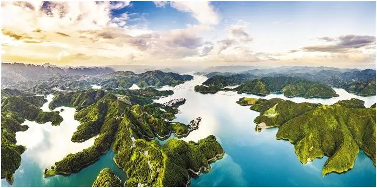 109c35c3484f70224f1bbf5f06070278-sz_63178