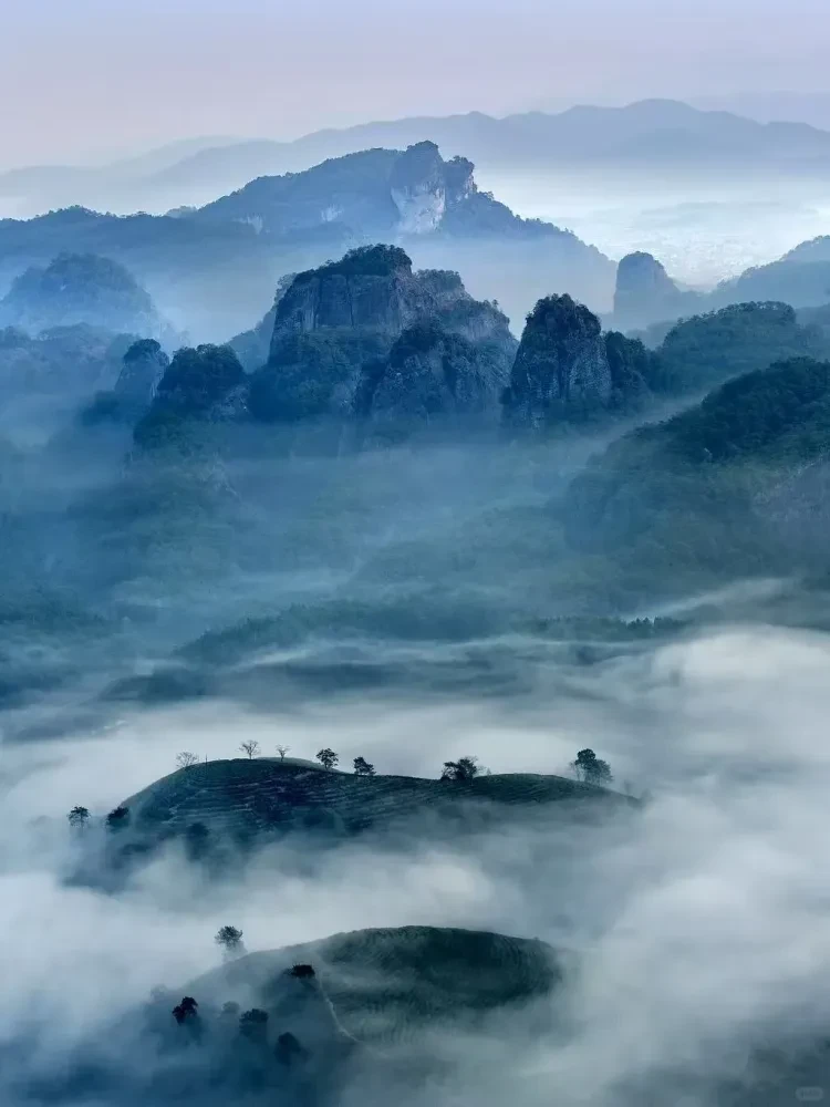 10bd1365b15d8126ad8c3f2c362a8768-sz_1966388