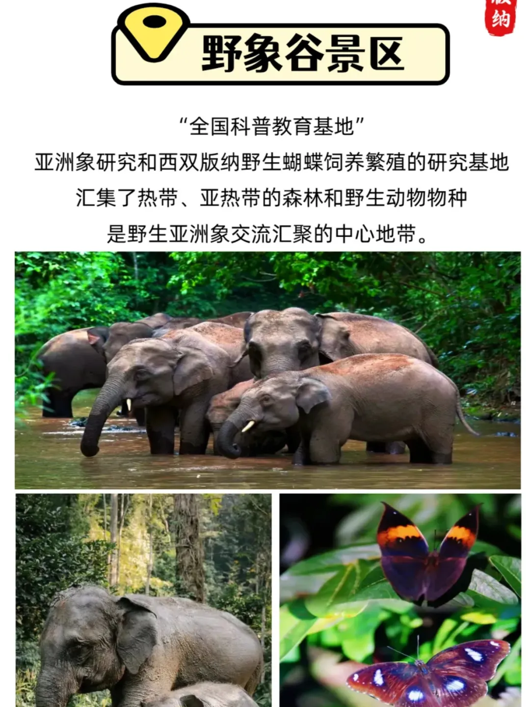 10e9cbb800aef1ab1b674104a58c1363-sz_571024