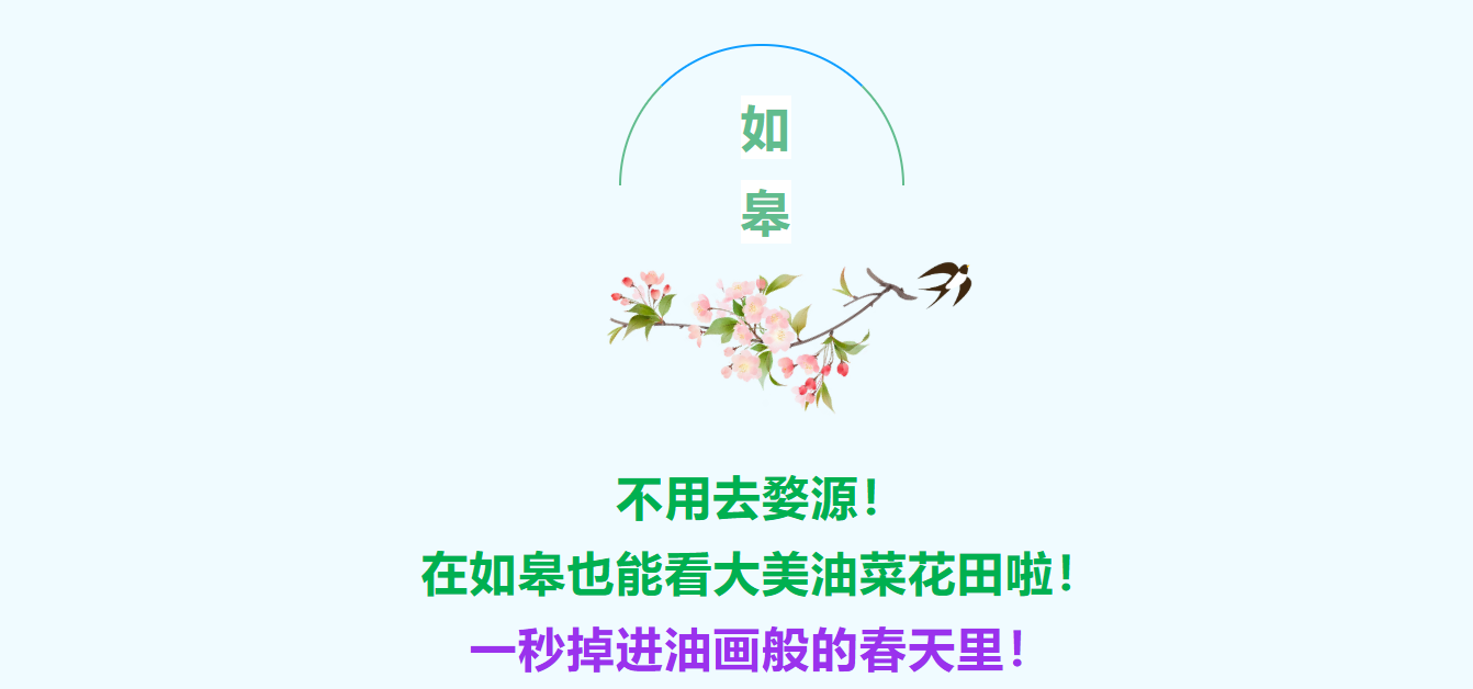 1130071ae4f139d24cc976dadd759675 1130071ae4f139d24cc976dadd759675