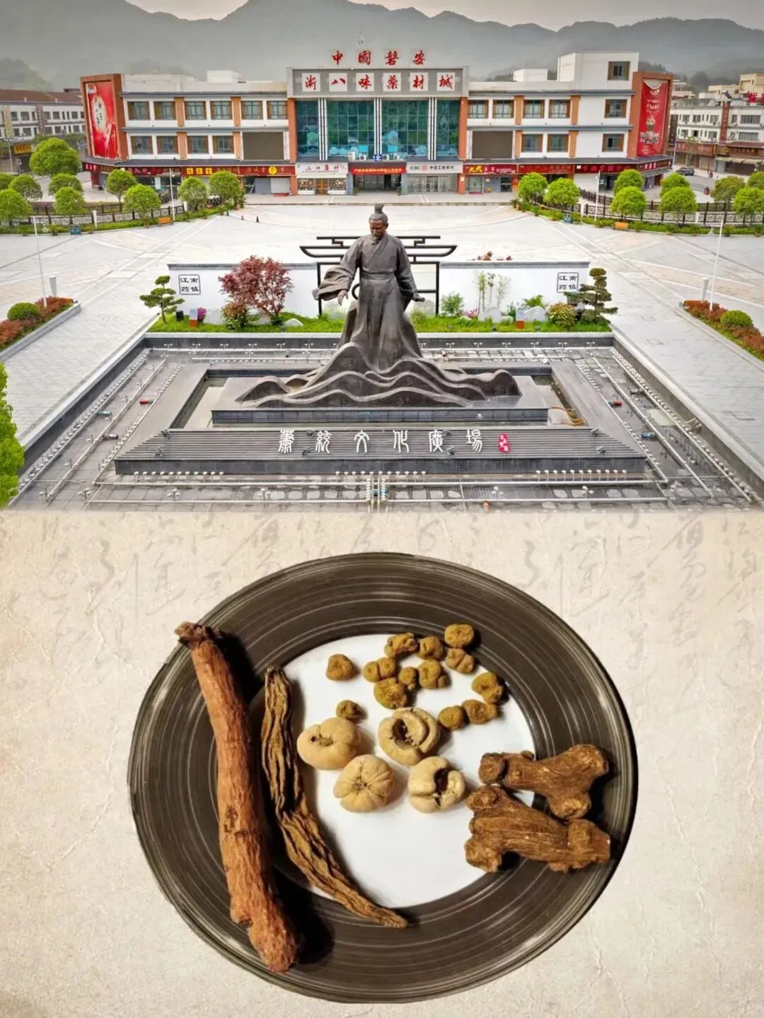 1194ee72993d4c02f908cee742896bfb-sz_262827