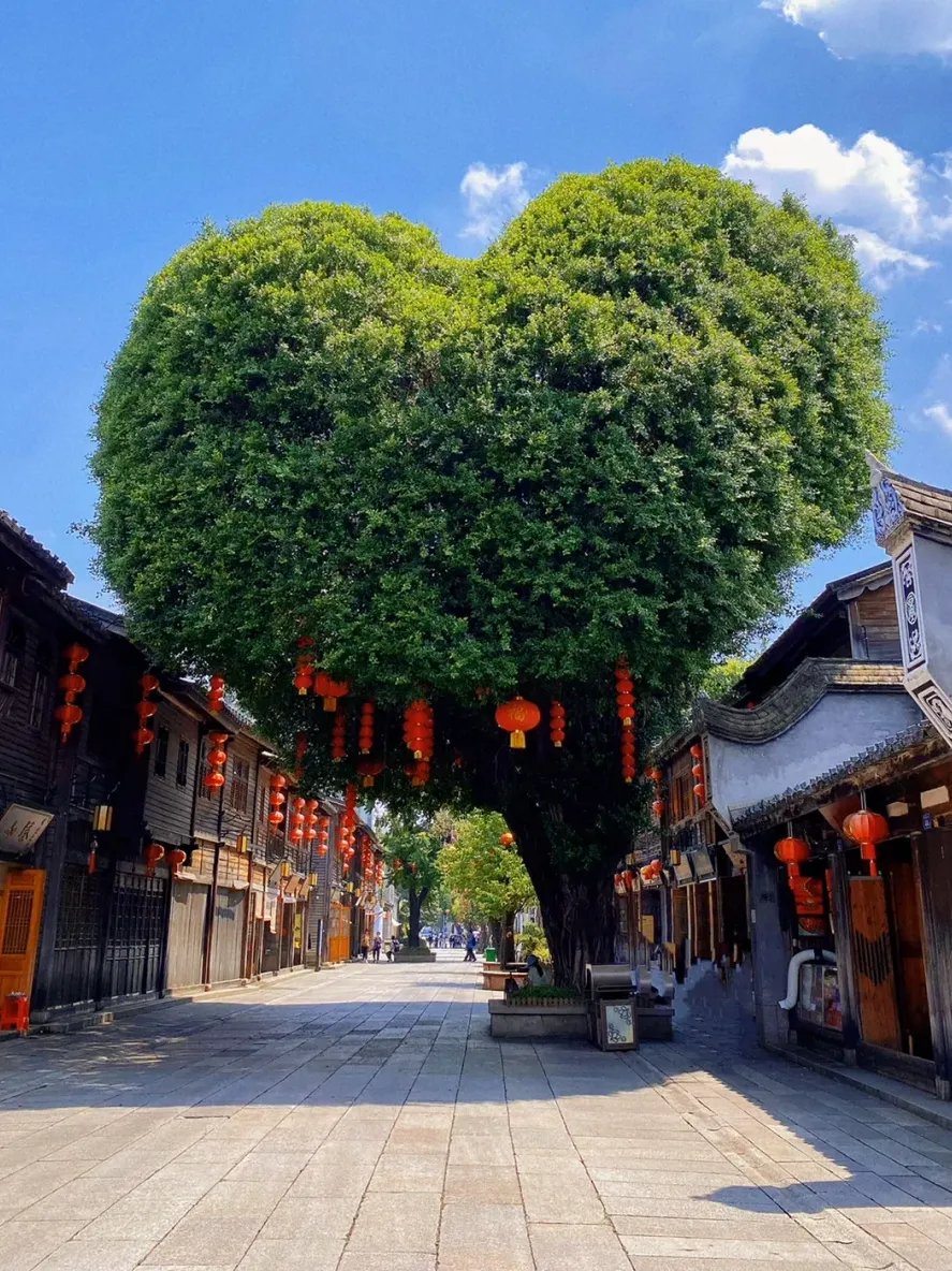 11e8d42766be0a3d367ef1ce76e665b8-sz_3232956