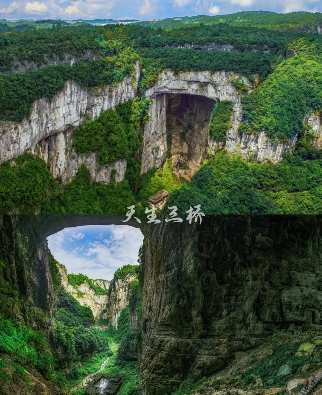 12775dd05bcb3c3c498e111a131453e0-sz_1318837-1