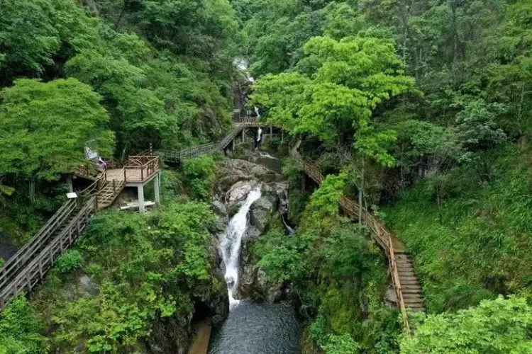 12a09dd4e5575d70ae674d2735cf1305-sz_144866