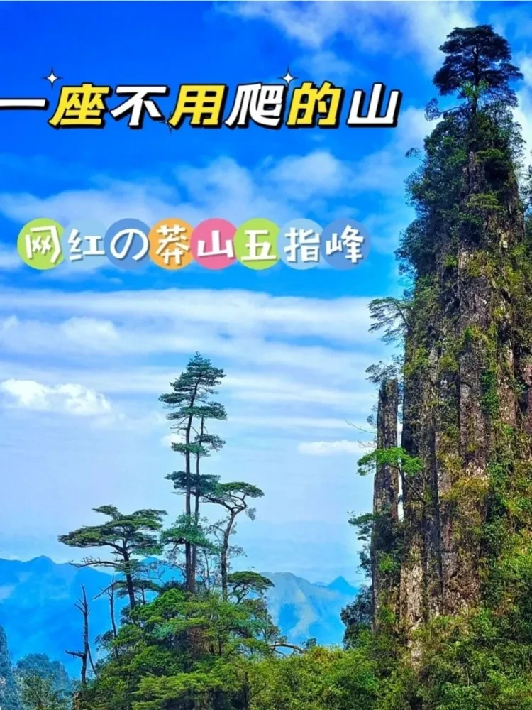 135d8ef7703e87ac8682a4f711237a9c-sz_245001