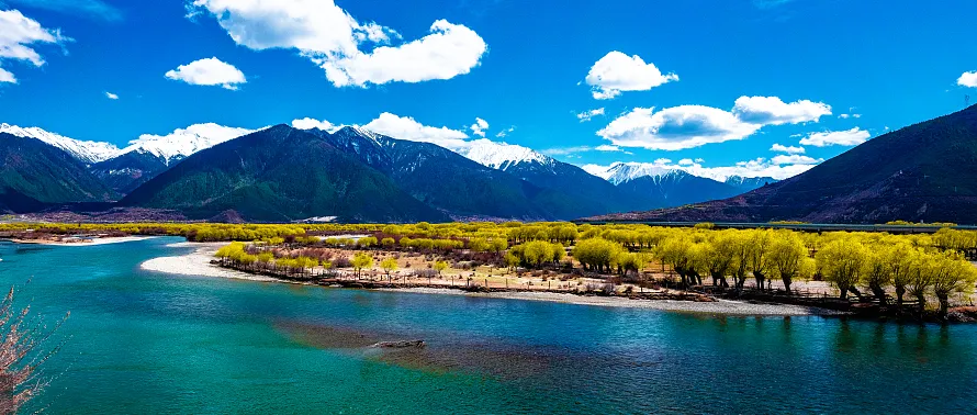 137578fc8ee282a8da0119493d0f8148-sz_640014