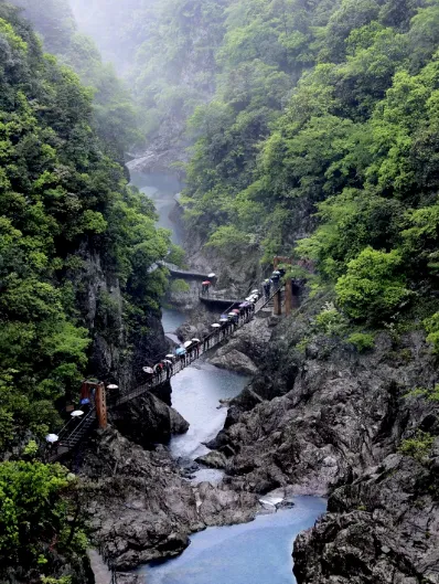 纯玩【伟业大酒店旅居·康养7日799元起】与自然共舞，与本草同行，解锁一段磐安从山水到本草的生态身心疗愈之旅