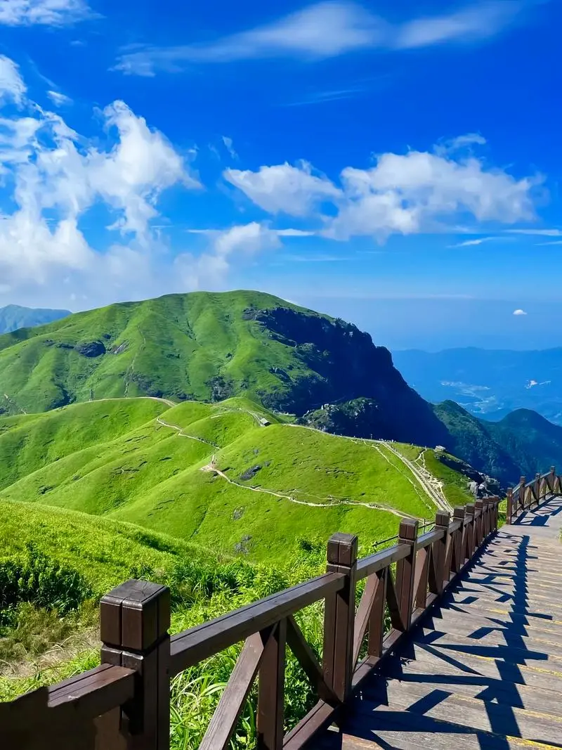 14868cf0e8f6a73901ef3f13f19a2357-sz_148650-1