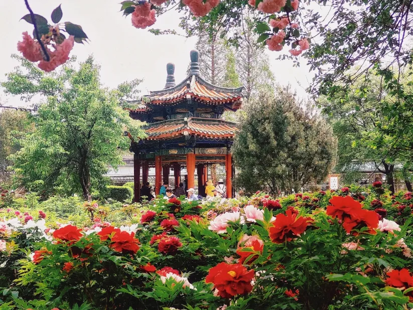 14feae6bb6aacc4b01eb3e873597ed07-sz_1368204