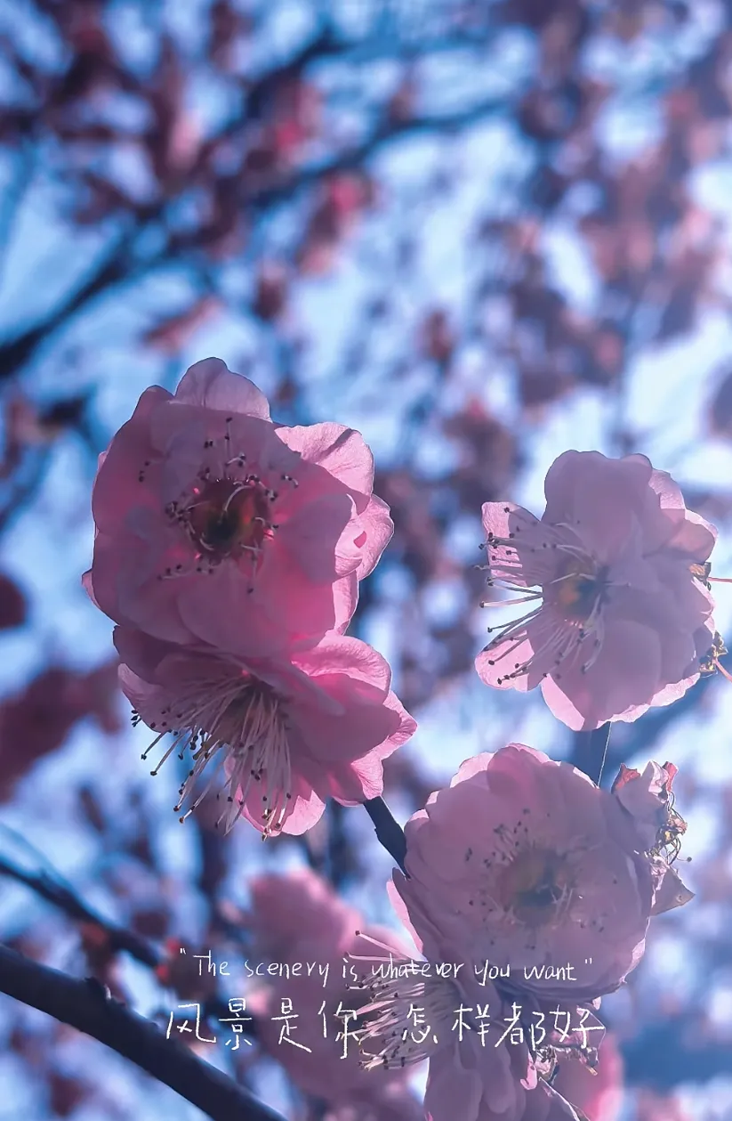 150c81fef16932ea1b4b803a26f9f155-sz_552159-1