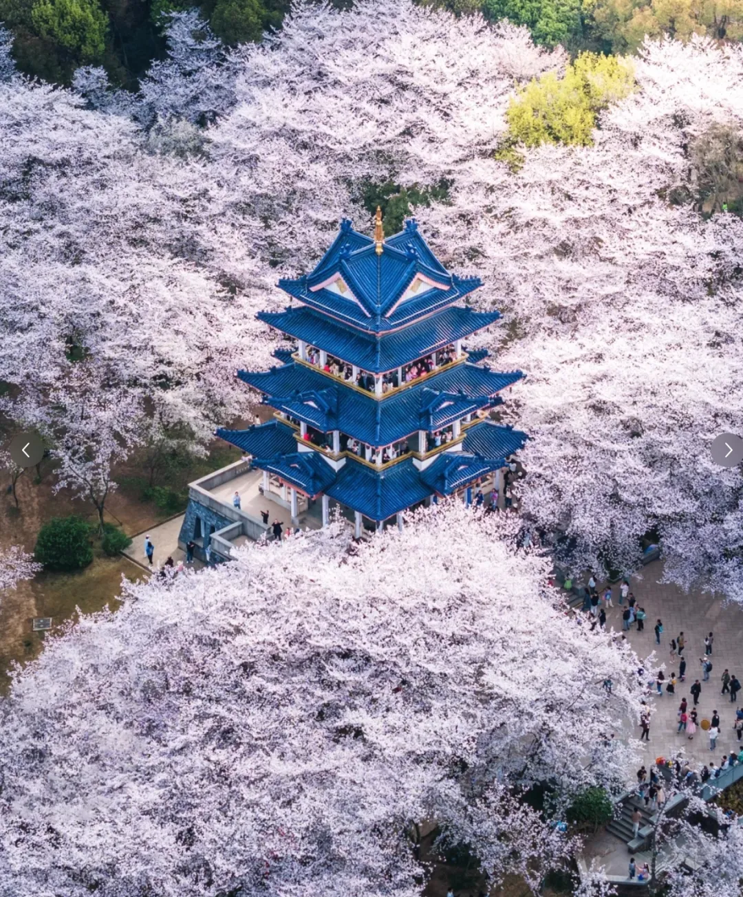 15759fc9f79cd7316ddc0012392500b7-sz_1684727-2