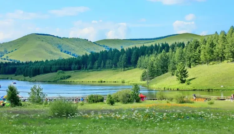 158e8a121be04b7e2ec4c02b72793f86-sz_86652