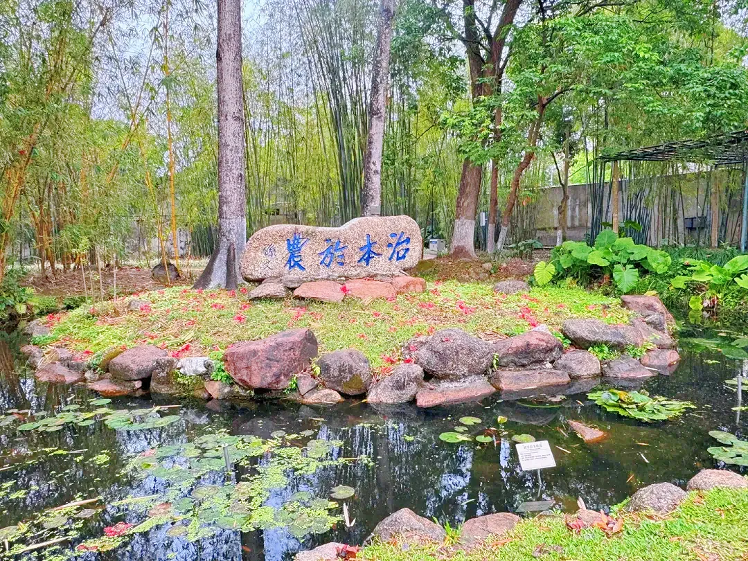 15a9f11fc401c6f6ae2938682c0060c7-sz_2083806-1