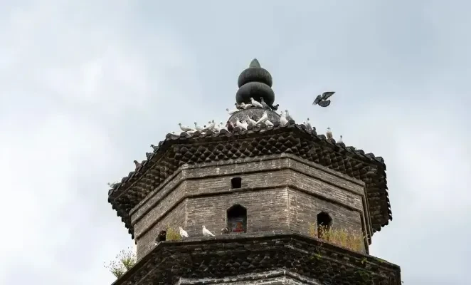 15c561cd477d2f582eeac3ecccf58d65-sz_325224