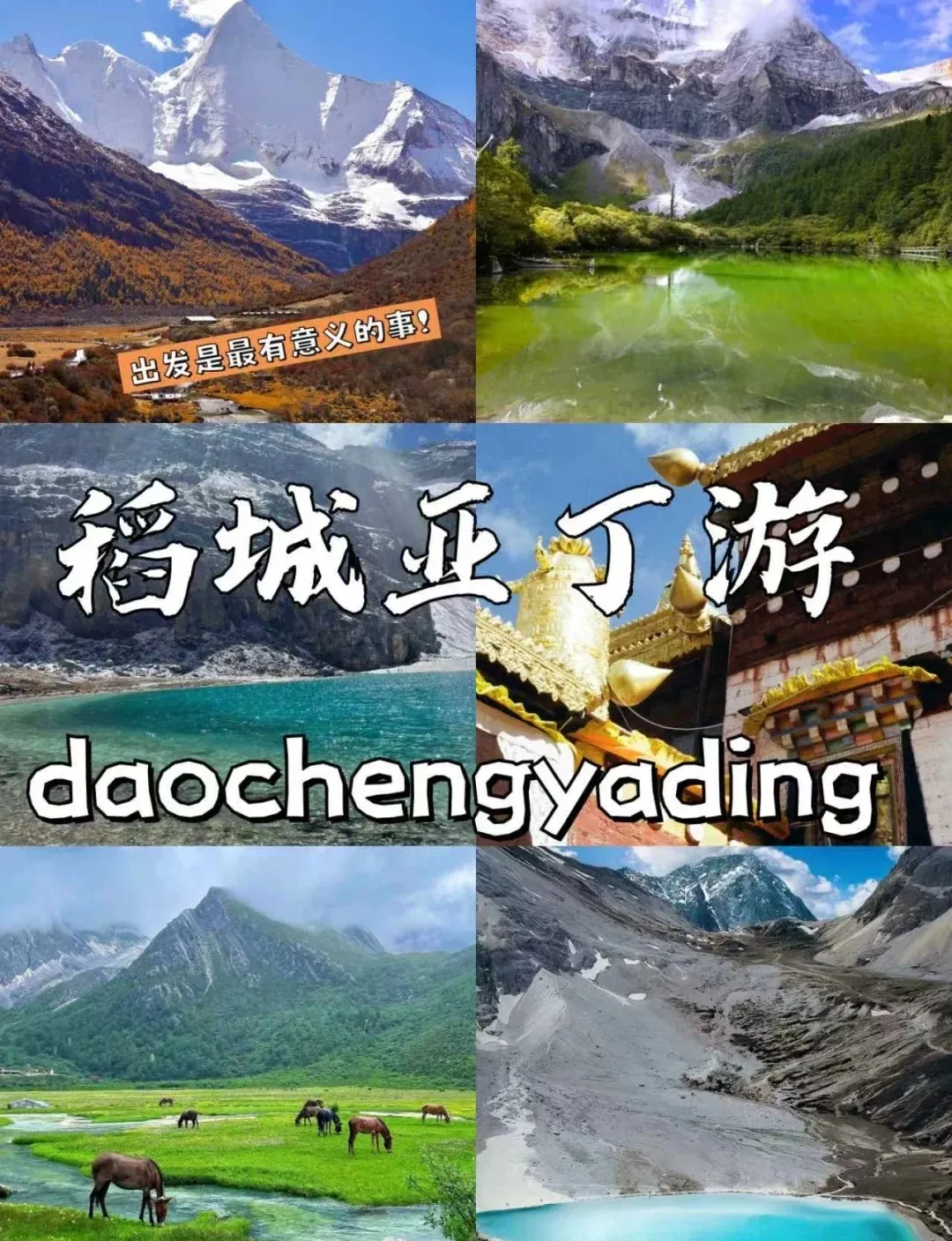 15c6564de587fc6dc57d39da7f714421-sz_484952