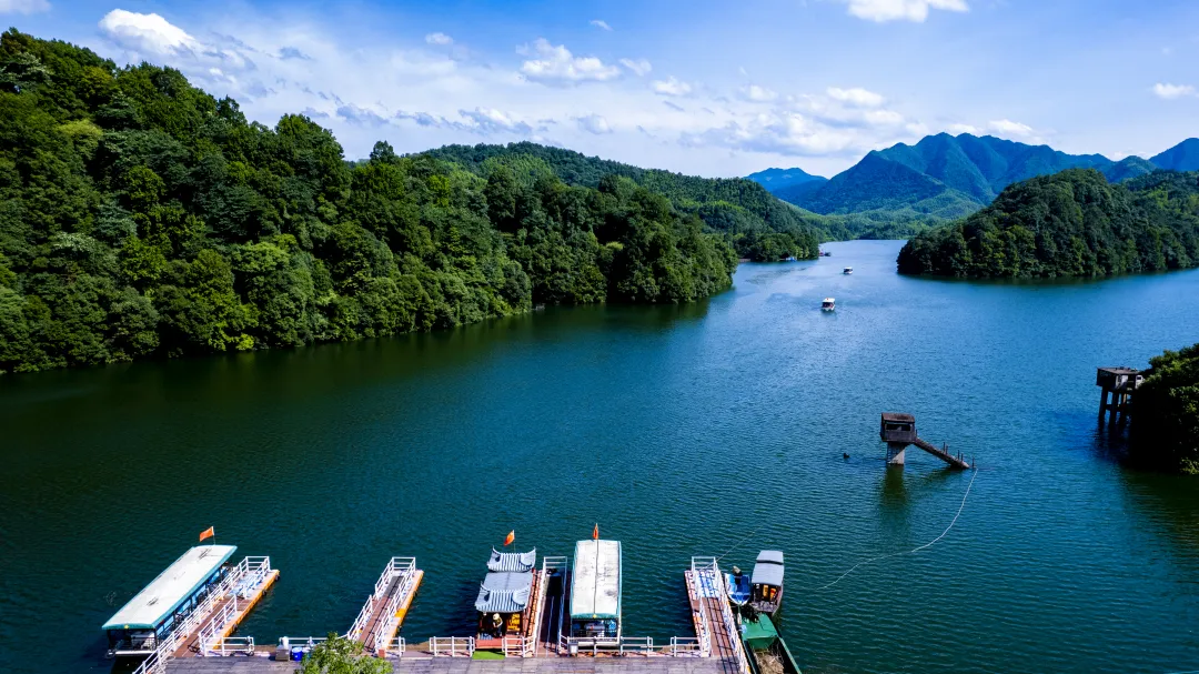 15ddb3d8bfe228eb08d881b3edee1b1e-sz_15487448