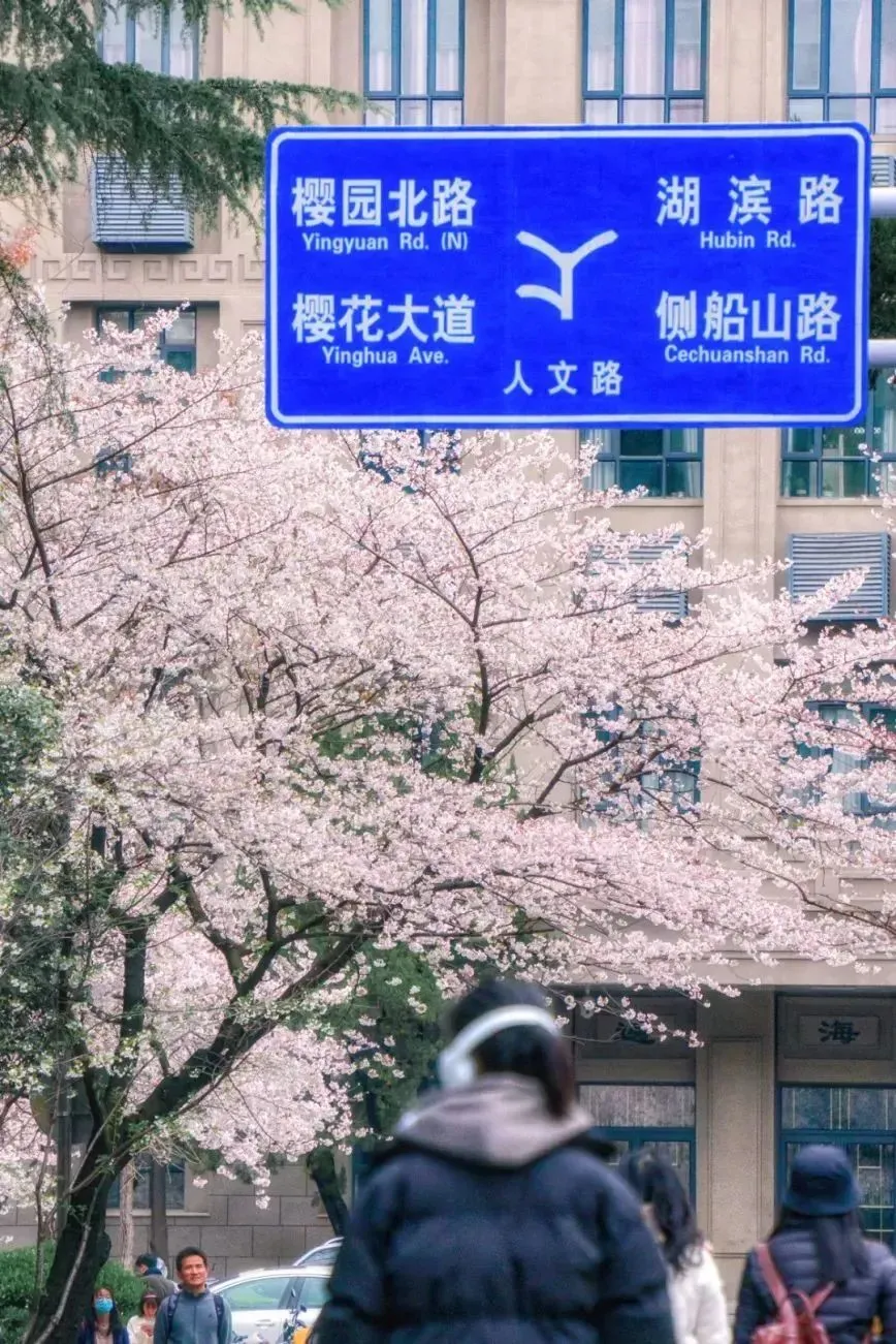 15e92d08c39a92f0f82050559abe8295-sz_270496