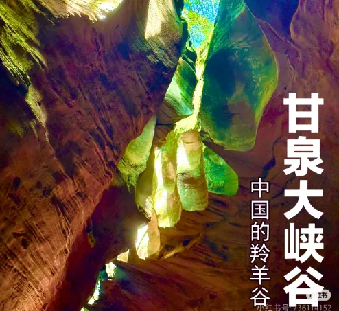 1603a3befdd425506c88d7471a1d586e-sz_874199