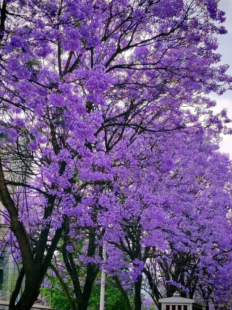 161740022d70f9b3a018efbe91d79911-sz_326027-1