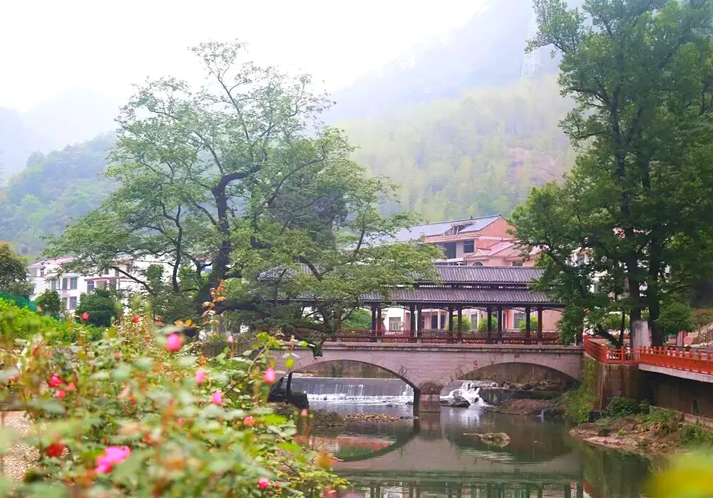 167c5f6eefdc67dcd36bee97345f8486-sz_1346044