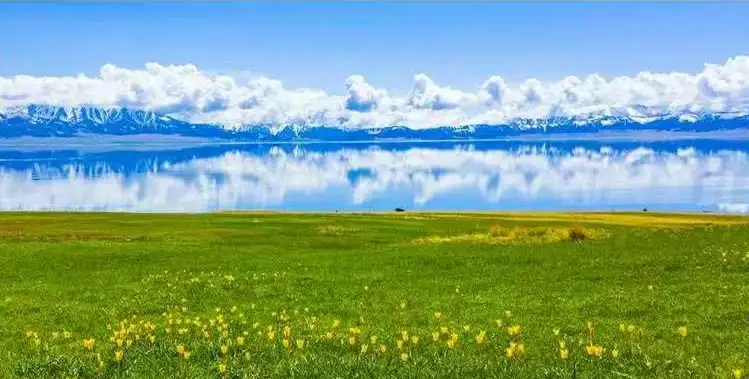 1697378c4c275e4c6becbe3b2f8bc212-sz_132959