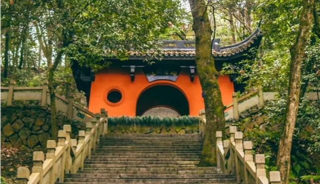 16e34affa9252dbba3d9a778534b5f34-sz_534770