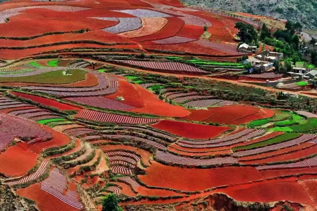 16ed888b05cf1a9db807b29fac3d26cd-sz_679647