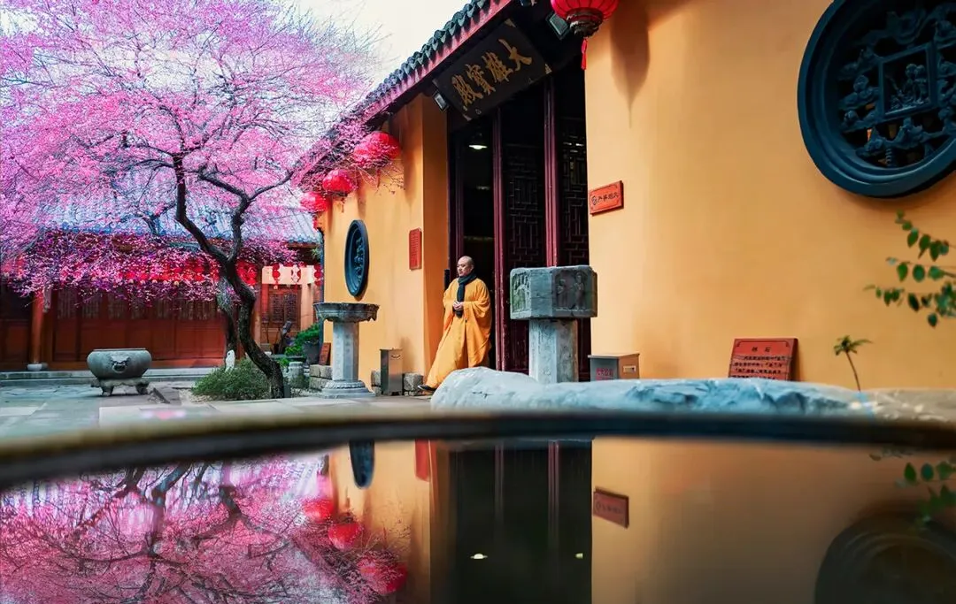 17107edd8f54393027bc163ccc39f547-sz_1247948