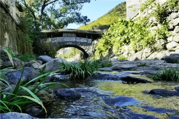 17194b7cb325310191640972395ea594-sz_479195